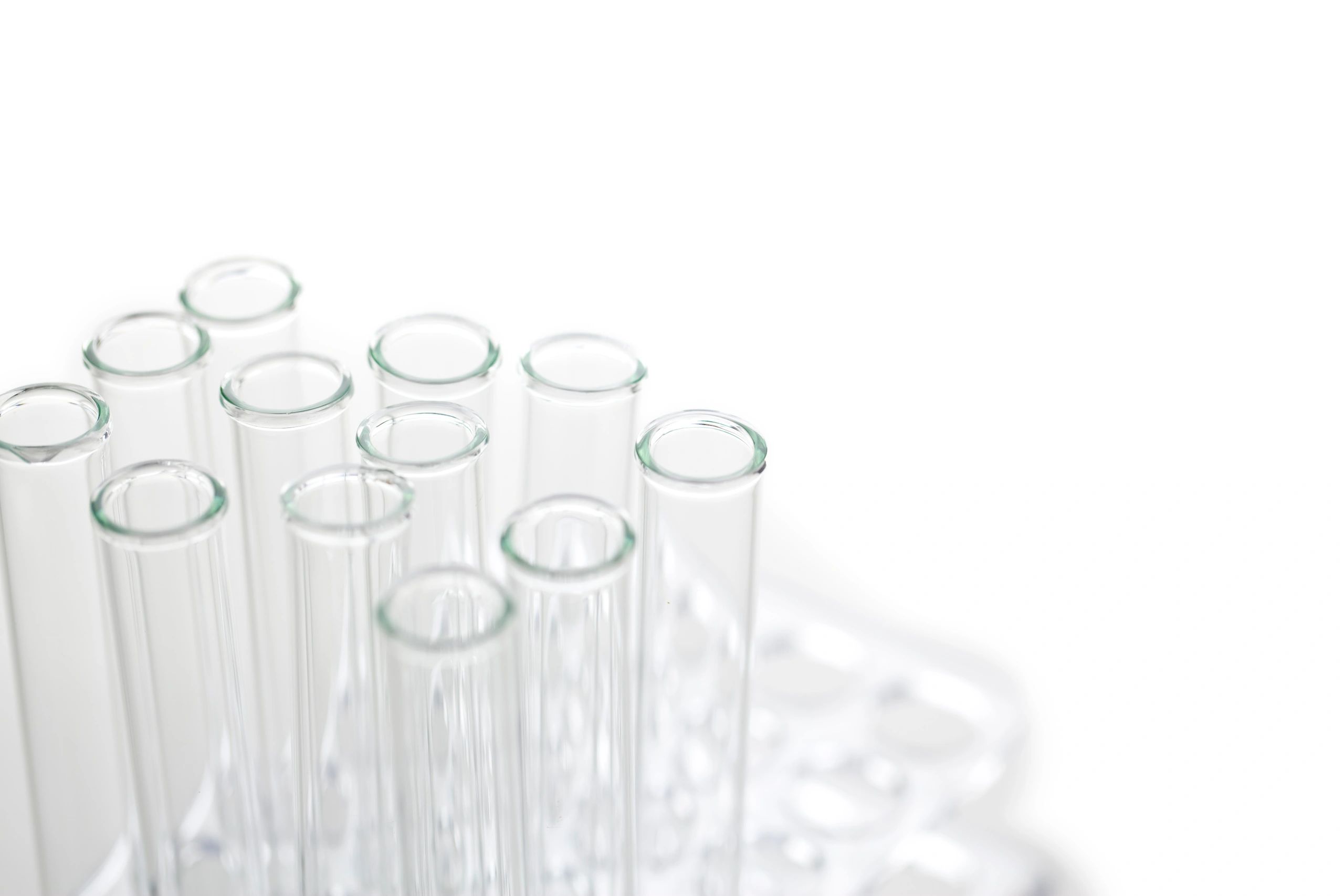 Test tubes in a rack